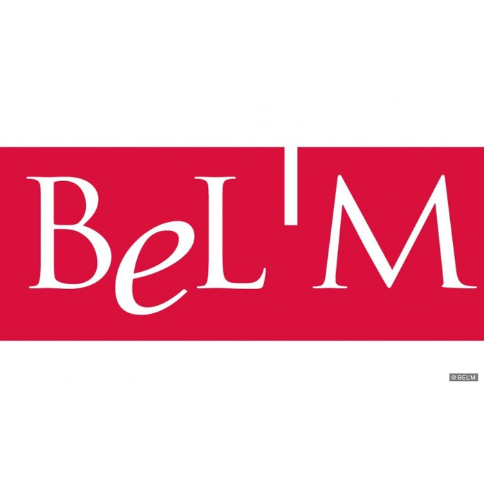 Logo de l'entreprise BELM